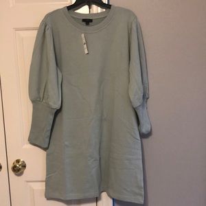 NWOT J Crew Long Sleeve Dress